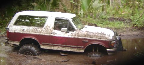 1993 Ford Bronco - Side view of a mud-splattered two-tone burgundy and white full-size Bronco wading through a brown mud hole on a palmetto-lined trail. Aggre…