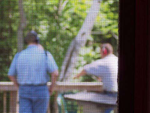 2001 Ford Crown Victoria - View from inside looking out at two individuals on an outdoor deck surrounded by greenery.