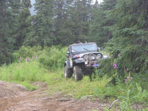1985 Ford Bronco - A modified Jeep CJ-7 navigates a wooded trail with lush green foliage and purple wildflowers.