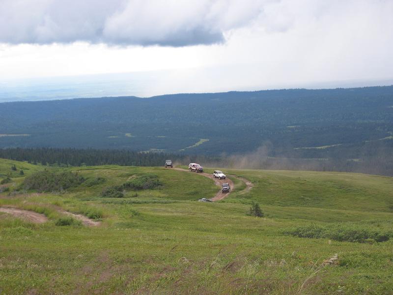 Convoy of 4x4 trucks on a dirt two-track crossing a green alpine meadow under storm clouds