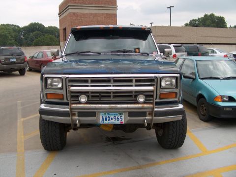 1986 Ford Bronco - Airbrushed bug-stopper.