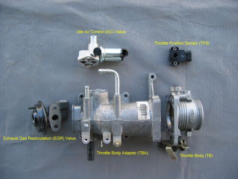 1997 Ford Crown Victoria - Various engine components are laid out and labeled, including the Idle Air Control (IAC) Valve, Throttle Position Sensor (TPS), Exhaust Gas…