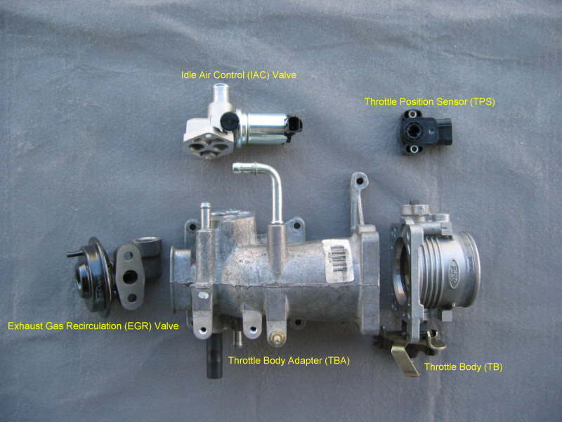Engine parts including IAC valve, TPS, EGR valve, throttle body adapter, and throttle body