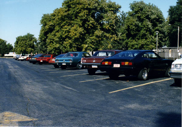 Row of classic Mustangs and Mavericks angle-parked along a tree-lined lot in old photo