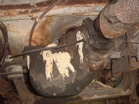 1976 Ford F-150 - Underside view of a rusty rear differential, showing signs of wear and residue.