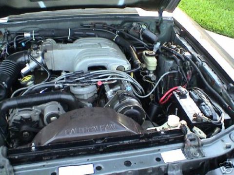 1987 Ford Mustang photo