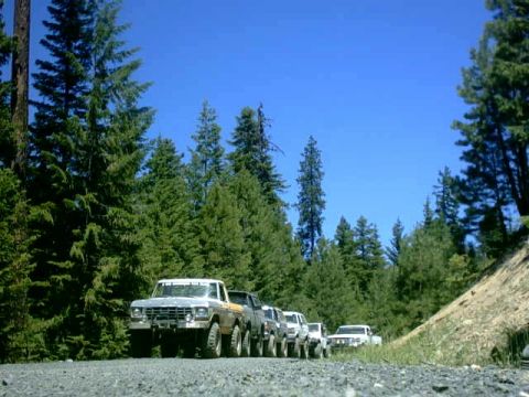 1995 Ford Bronco - A convoy of older Ford trucks and SUVs travels down a dusty forest road.