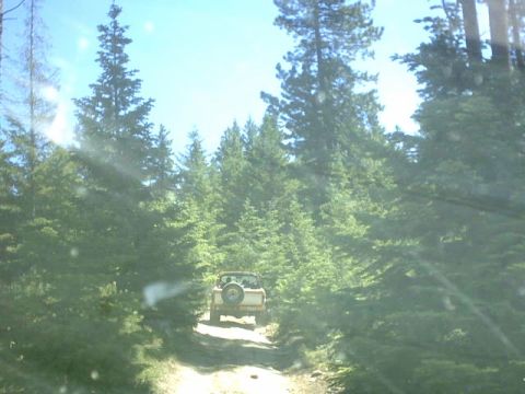 1995 Ford Bronco - A white Ford Bronco drives down a dirt road through a forest.