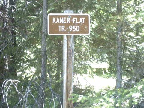 1995 Ford Bronco - A trail marker for Kaner Flat TR. 950 stands on a wooden post amidst trees.