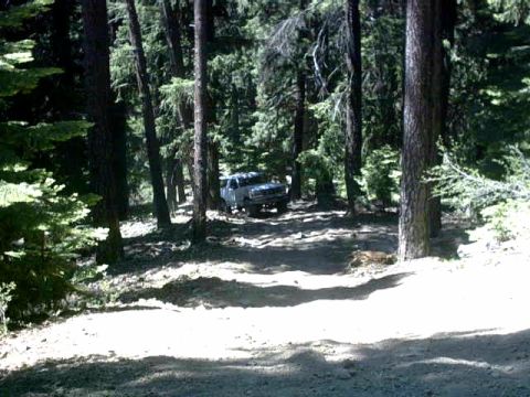 1995 Ford Bronco - A 1995 Ford Bronco is seen parked on a dirt road surrounded by trees.