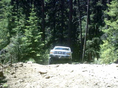 1995 Ford Bronco - A 1992 Ford F-Series truck navigates a wooded trail.