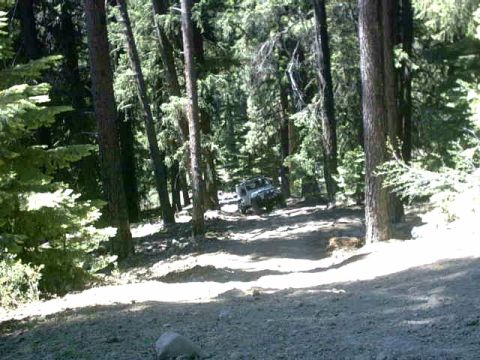 1995 Ford Bronco - A Jeep Wrangler drives on a dirt path through a dense forest.