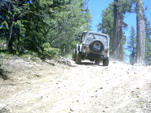 1995 Ford Bronco - A Jeep Wrangler navigates a dusty, uphill trail surrounded by dense forest.