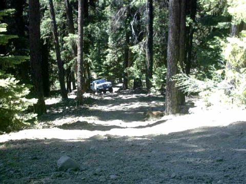 1995 Ford Bronco - A white SUV navigates a wooded dirt road, kicking up dust as it drives.
