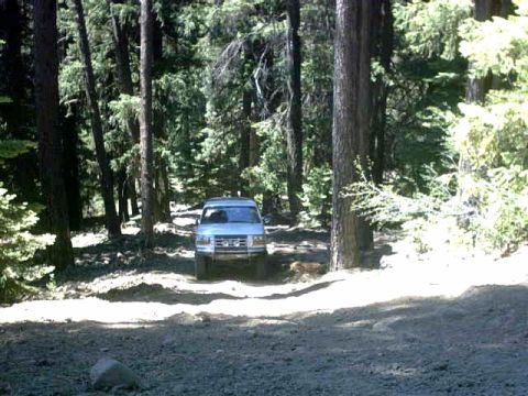 1995 Ford Bronco - A 1995 Ford Bronco is parked on a dirt road surrounded by trees.