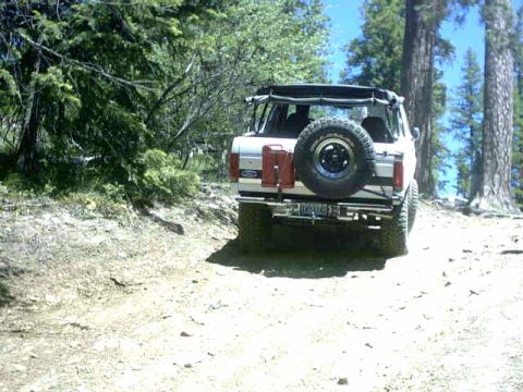 1995 Ford Bronco - A white Ford Bronco is seen from the rear, driving on a dirt path surrounded by trees.