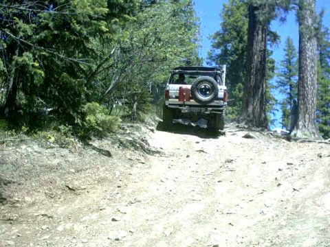 1995 Ford Bronco - A white SUV navigates a dirt road through a forest.