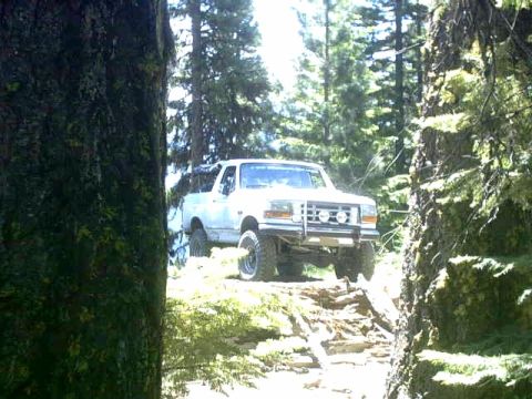 1995 Ford Bronco - A white Ford Bronco navigates a rough, wooded trail.