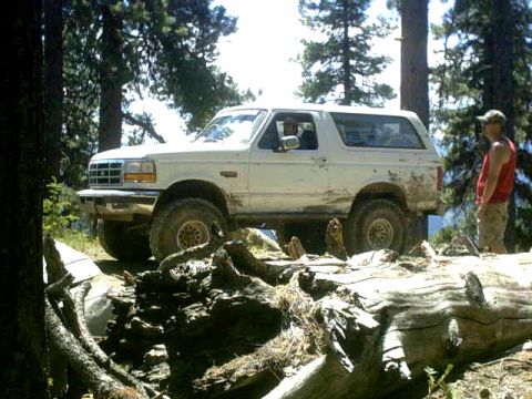 1995 Ford Bronco - 1995 Ford Bronco tackles a challenging off-road course surrounded by trees and debris.