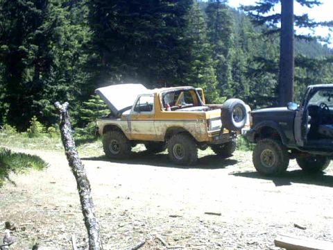 1995 Ford Bronco - Two off-road vehicles, a yellow and white Ford Bronco and a black truck, are parked in a wooded area with the Bronco's hood up.