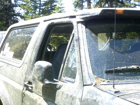 1995 Ford Bronco - Hit it on the bottom of a downed tree