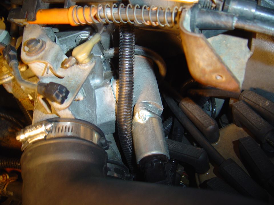 Engine bay close-up with spark plug wires, split-loom harness and hose-clamped tube