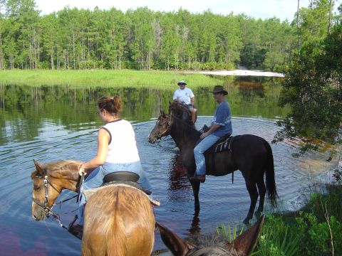 1993 Ford Bronco - People enjoy a horseback ride through a calm waterway surrounded by lush green trees.