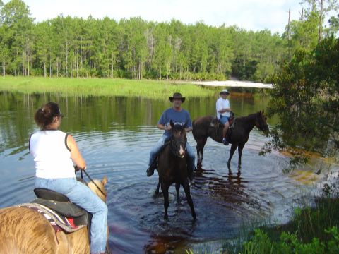 1993 Ford Bronco - Three people enjoy a horseback ride through a river, with a dense forest lining the opposite bank.