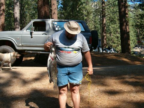 1986 Ford Bronco - Not a bad stringer full.
