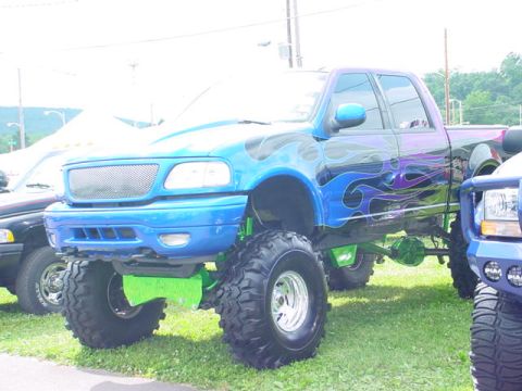 1979 Ford Bronco - A custom-painted pickup truck is parked on grass next to another vehicle.
