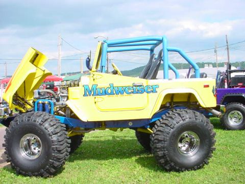 1979 Ford Bronco - Modified off-road vehicle with custom paint and roll cage, parked on grass next to another vehicle.