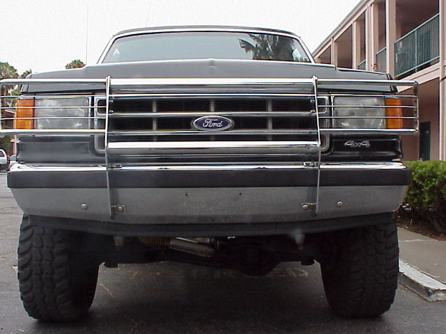 Front grille of a Ford truck with chrome brush guard and Ford oval emblem