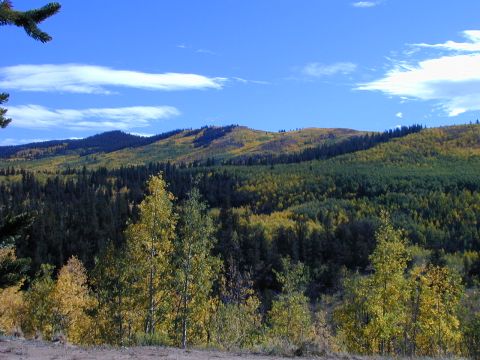 1979 Ford Bronco - A scenic view of mountains and trees in autumn, with a clear blue sky above.