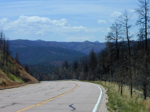 1979 Ford Bronco - A scenic view of a road curving through a landscape marked by burnt trees and distant mountains.