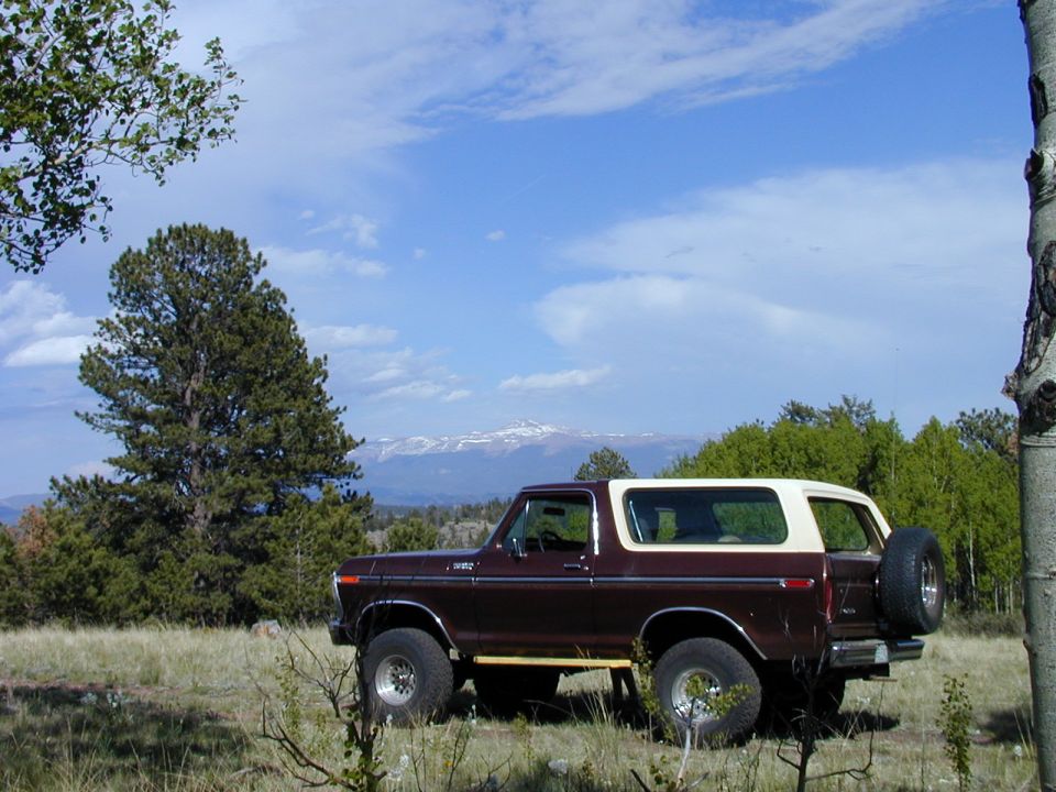 1979 Ford Bronco “ZOSO”
