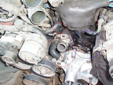 1992 Ford Bronco - Close-up view of engine components, highlighting a suspected coolant leak around the water pump area.