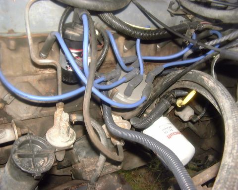 1985 Ford F-150 - Close-up view of an engine bay, showing the distributor cap, spark plug wires, and an oil filter.