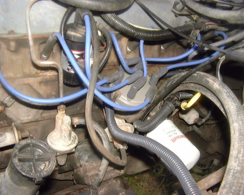Ford V8 engine side view with blue plug wires, distributor and white Motorcraft FL-1A oil filter