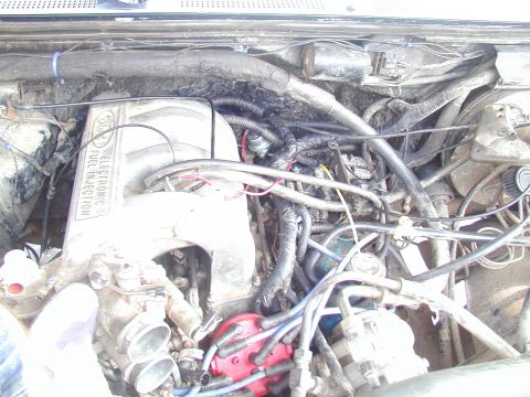 1988 Ford Bronco - Close-up of an engine bay, showing the intake manifold and distributor cap.