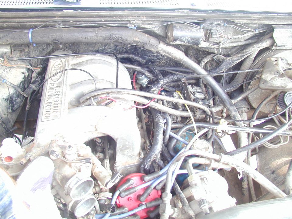 Engine bay with "ELECTRONIC FUEL INJECTION" intake manifold and red distributor cap