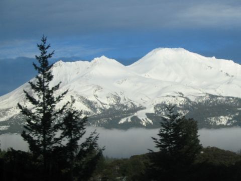 1989 Ford Bronco - A scenic view of snow-capped mountains partially obscured by fog and foreground pine trees.