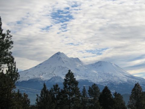 1989 Ford Bronco - A scenic view of snow-covered mountains under a cloudy sky, with pine trees in the foreground.
