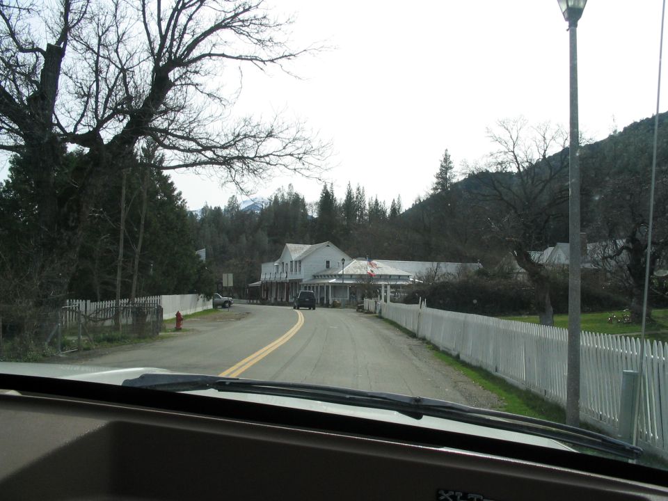 Roadside scene with white buildings and trees