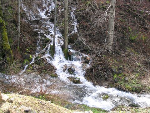 1989 Ford Bronco - A waterfall flows down a rocky slope in a wooded area during daytime.