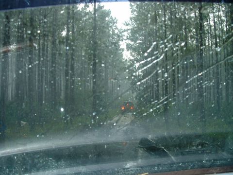 1995 Ford Bronco - Driving through a forest on a wet, muddy road with an orange SUV ahead.