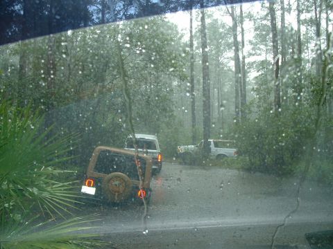 1995 Ford Bronco - Three SUVs navigate a wet road through a dense forest during rainfall.
