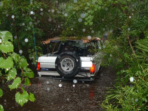 1995 Ford Bronco - White 1995 Ford Bronco navigates a waterlogged path surrounded by dense foliage.