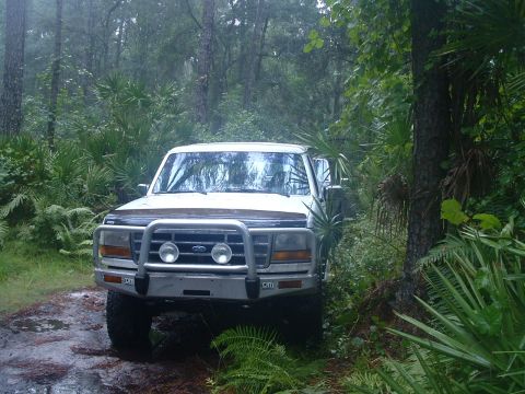 1995 Ford Bronco - A white Ford Bronco is parked on a muddy trail surrounded by dense foliage and trees.