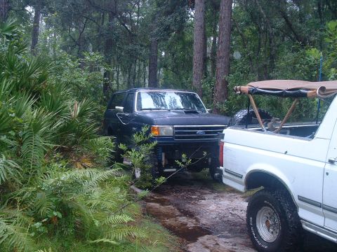 1995 Ford Bronco - Two Ford Broncos are parked on a dirt path surrounded by trees and foliage.