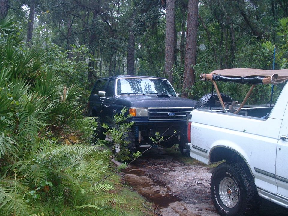 Dark blue and white lifted Ford Broncos parked on a wet palmetto trail in the rain